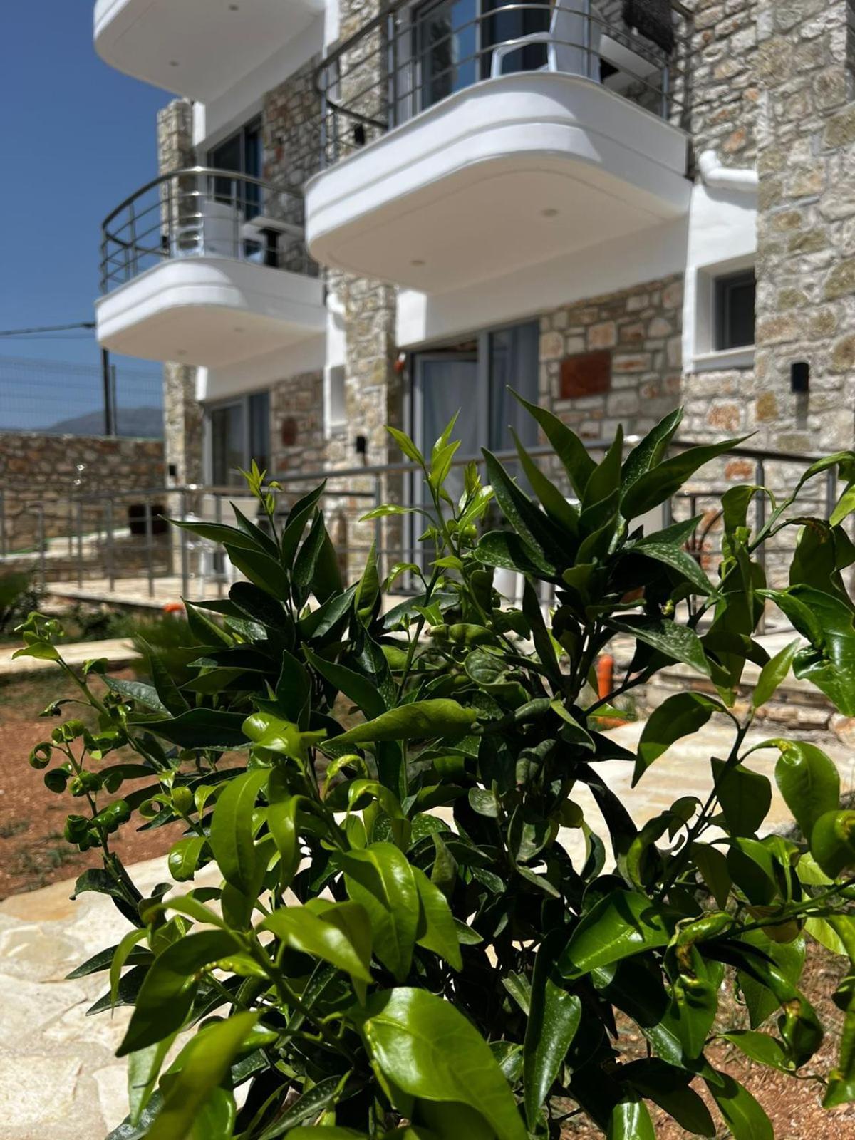Noah'S Home Himarë Exteriér fotografie